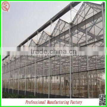 Polycarbonate Tunnel Industrial Greenhouse for Agriculture Equipment photo-5