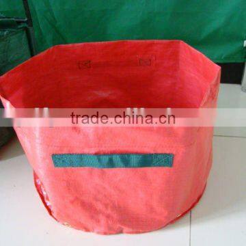 PE grow bag with woven belt