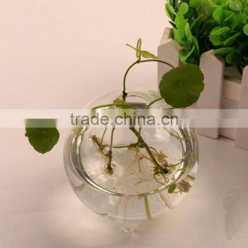 Ball Shaped Hydroponics Container Round Transparent Glass Vase for Plant photo-3
