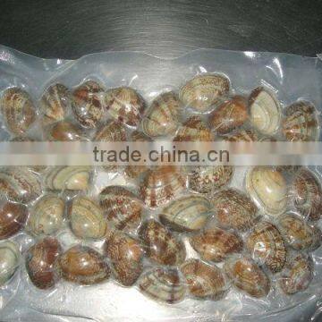Vacuum Packing Boiled Clam