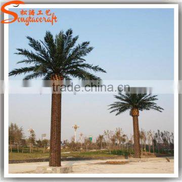 Songtao Suplier Artificial Date Palm Tree Customized Fibeerglass Date Palm Tree Fiberglass Artificial Palm Trees photo-5