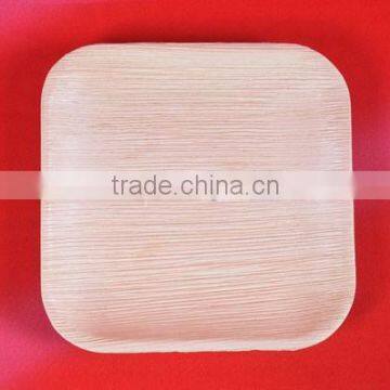 Biodegradable Tableware photo-6