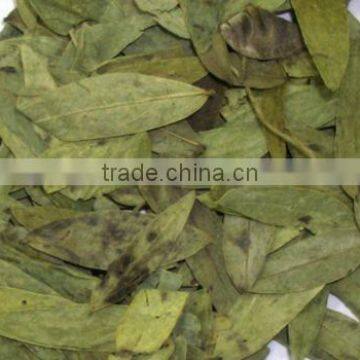 Cal.Sennosides Extract photo-2