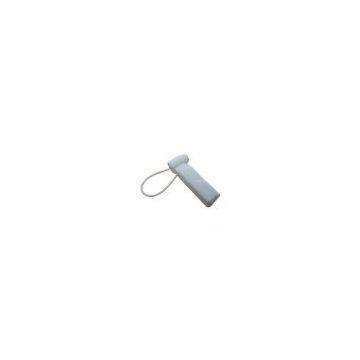 EAS security tag with lanyard