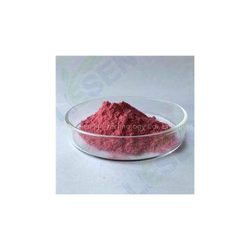 ChokeBerry Powder