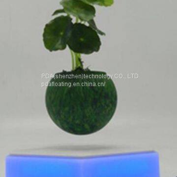 led light magnetic floating levitating bottom air plant tree potted