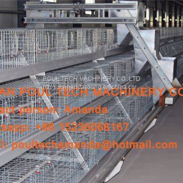 Qatar Poultry Farming A Type Battery Broiler Cage & Chicken Cage & Poultry Farm Equipment With Automatic Feeding & Drinking System