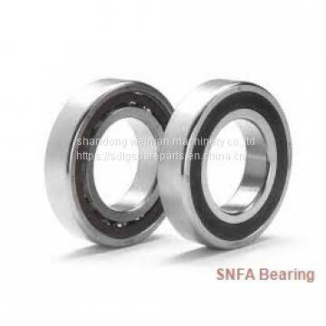 SNFA Bearing