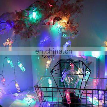 Led Photo Clip Holiday Curtain String Lights Garden Home Garden Christmas Indoor Outdoor Decoration Fairy Light photo-2