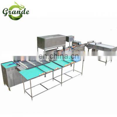 Small Chick Weighing Egg Grading Machine Grader Egg Classification Machine Egg Grading Sorting Machine