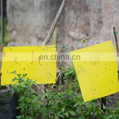 Factory high quality low price free sample yellow double sided sticky glue fly trap with wire holder