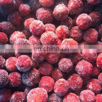 New Crop IQF Frozen Red Bayberries Frozen Chinese Bayberry photo-4