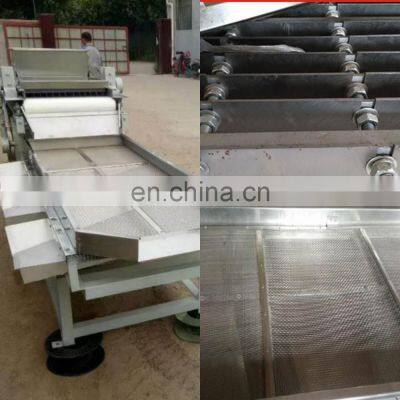 Good Quality Almond Pistachio Walnut Macadamias Nut Shredder Chopper Cashew Nut Cutting Machine Production Line photo-2