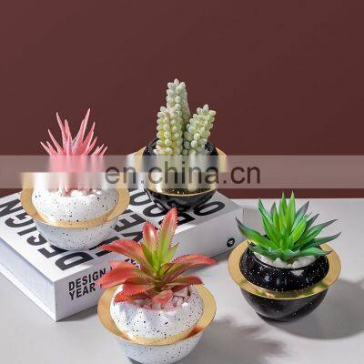 Hot Sale House Office Cute Netherlands Expensive Macetas Suculentas Plantas Mini Variegated Succulent With Planet Pot Bonsai