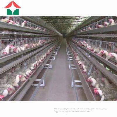 China Prefabricated Automatic Chicken House for 50000 Layers Birds photo-4
