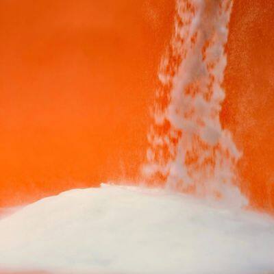 Silicagel C18 17%CMonomeric, 40 - 63 µm, 100 Å photo-4