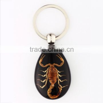 black keychain with real insect scorpion