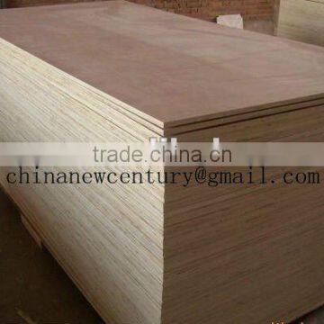 Africa market Plywood