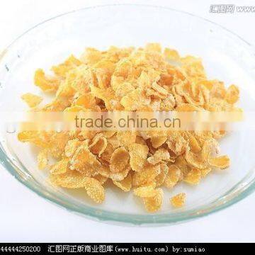 Popular Breakfast Cereal &Corn Flakes Production Line photo-5