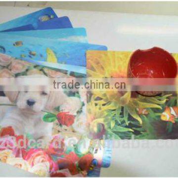 Colorful 3D Lenticular Carton Table Mat 2015 photo-5