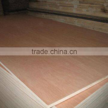 Poplar Plywood Furniture Plywood From Factory photo-3