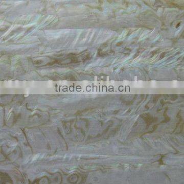rainbow freshwater shell mosac tiles