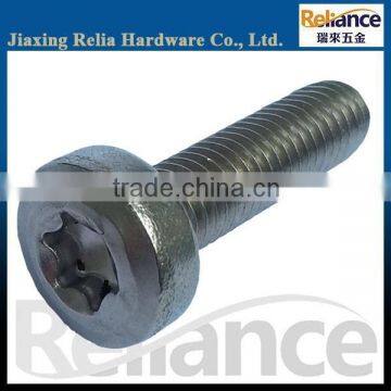 Stainless Steel Full Threaded Torx Pan Head Machine Screw with Different Size