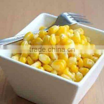 Cream Corn Canned Sweet Corn Factory Canned Foodstuff photo-4