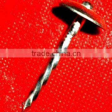 Philippines BWG9 Factory Twist Umbrella Roofing Nail photo-2