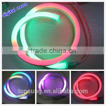 Garden Decoration 14*26mm Led Flex Neon Light for Chrismtas photo-5