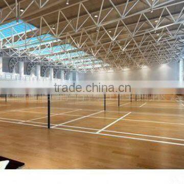 Bright & Big span Steel Sport building Q345B