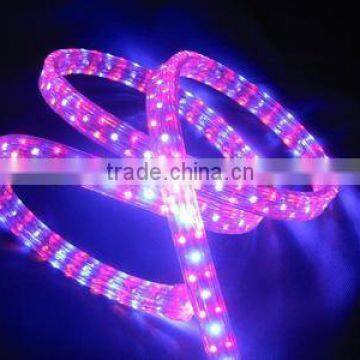Best Price! (2 Wires Round),36pcs Led/m Led Rope Light