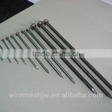 Hard Quality Black Common Nail/Stainless Steel Ring Shank Nails