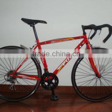 Road Race Bike