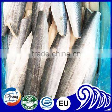 Frozen Spanish Mackerel Fillets / Frozen Sea Food