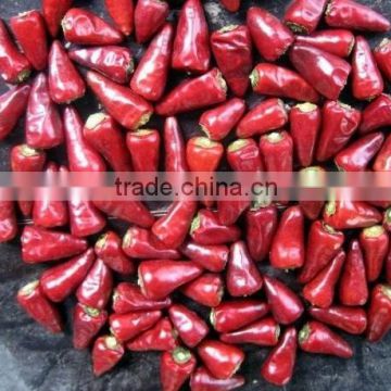 Hot Bullet Chilli , dry Bullet Chilli 4-7cm