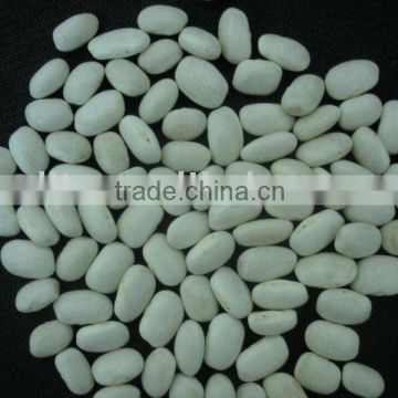 White Kidney Beans