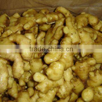 price of fresh ginger in China