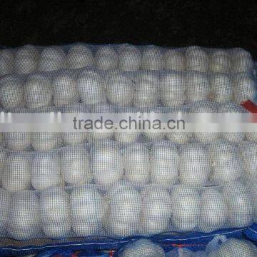 Pure White Garlic