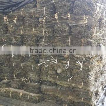 Dried Kelp Sheet, Broad Dried Kelp Leaves to Conduct SPA Treatments in Beauty Salons photo-6