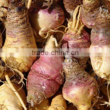Natural Maca Root Extract Powder photo-3