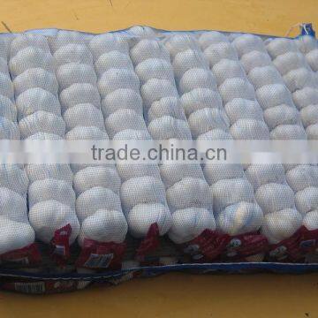 Supply China Garlic pack in 500g/sack,10kg /mesh bag of Fiji Market