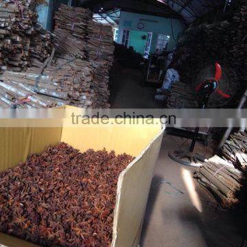 VIETNAM BEST QUALITY AUTUMN STAR ANISE photo-4