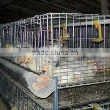 H Type 4 Layer Baby Chicken Cage/ Brooder/ Day Old Chicken Cages For Sale photo-6