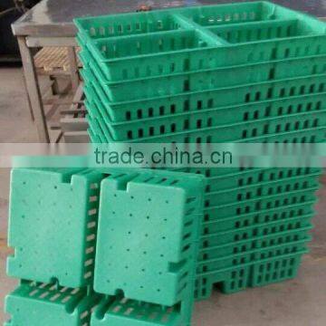 Baby chicken boxes for transportation crate with four partition