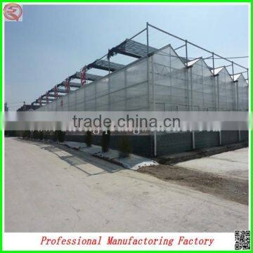 Large Muti-span Polycarbonate Sheet Greenhouse for Tomatos photo-6