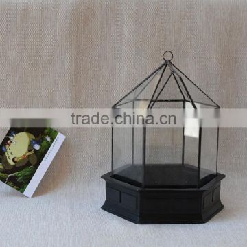 Micro landscape indoor glass greenhouse/ clear glass indoor plant terrarium /Geometric Glass Terrarium