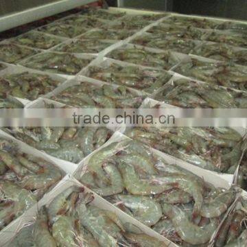 Genuine Quality Vannamei HLSO Shrimp Available in Eco-Friendly Packaging photo-5