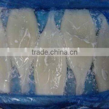 Cleaned Frozen Illex Argentina Squid Tube U5 U7 U10 photo-2