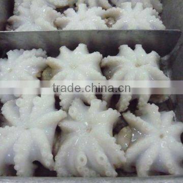 FRESH FROZEN BABY OCTOPUS FROM ALO SEAFOOD Co.,